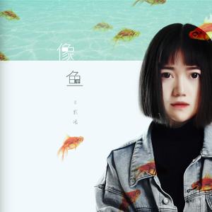 荒野乱斗破解版
