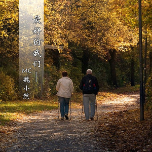 荒野乱斗破解版
