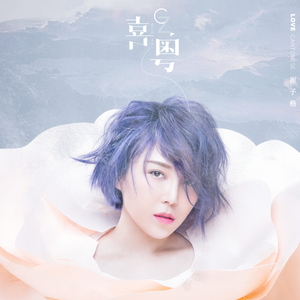 荒野乱斗破解版
