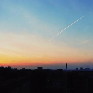 荒野乱斗破解版
