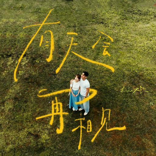 荒野乱斗破解版
